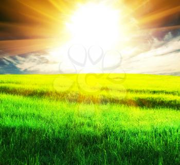 Royalty Free Photo of a Field and Bright Sun