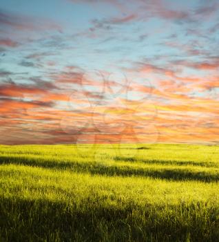 Royalty Free Photo of a Field at Sunset