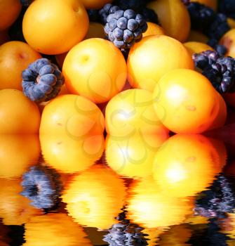 Royalty Free Photo of Apricots and Blackberries