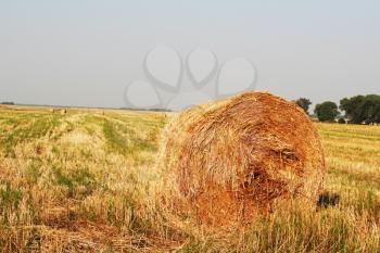 Royalty Free Photo of a Bale of Hay