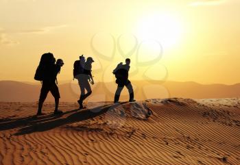 Royalty Free Photo of a Group in the Desert