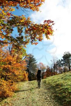 Royalty Free Photo of a Hike in an Autumn Forest