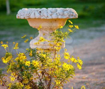 Royalty Free Photo of a Planter and Flowers