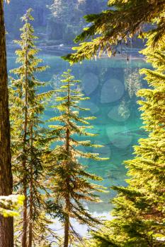 Royalty Free Photo of a Lake in Mount Baker Recreation Area, USA