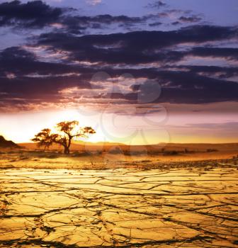 Royalty Free Photo of Dead Valley in Namibia