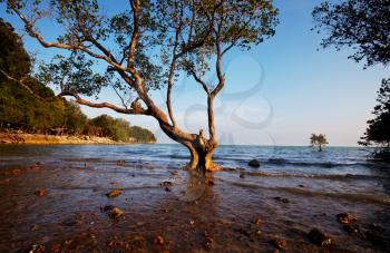 Royalty Free Photo of a Mediterranean Coast