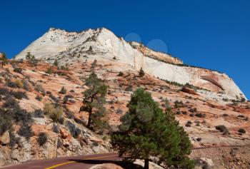 Royalty Free Photo of a Hike in Zion national park