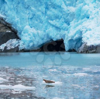 Iceberg on Alaska