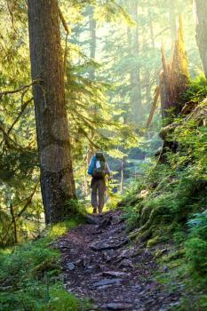 Boy backpacker in forest