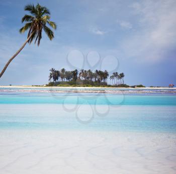 Maldives beach