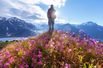 Hiking man in Canadian mountains. Hike is the popular recreation activity in North America. There are a lot of picturesque trails.