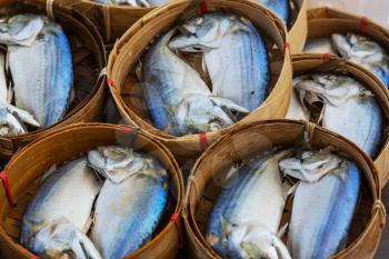 Fresh mackerel in basket in market , Thailand