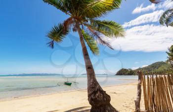 Serenity tropical beach