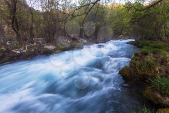 Beautiful small river in forest