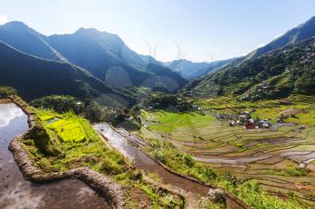 Beautiful Green Rice terraces in the Philippines. Rice cultivation in the Luzon island.