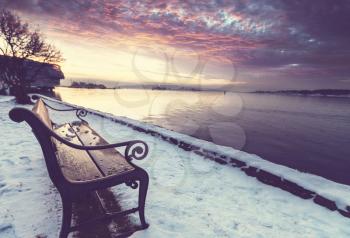 bench in winter