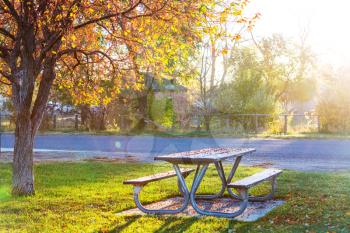 Picnic table on the grass