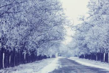 Snow covered alley in the winter