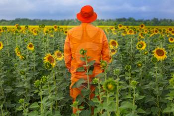 Man in orange clother in sunner sunflowers field