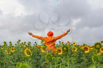 Man in orange clother in sunner sunflowers field