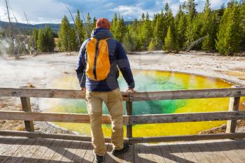 Colorful Morning Glory Pool - famous hot spring in the Yellowstone National Park, Wyoming, USA