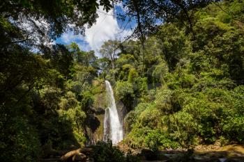 Beautiful small waterfall in green jungle, Costa Rica. Central America