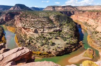 Green river in Colorado state, USA
