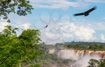 Impessive Iguassu (Iguazu) Falls on the Argentina - Brazil border, Instagram filter. Powerful waterfalls in the jungles.