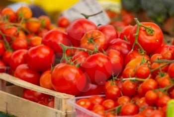 Delicious red tomatoes in street market
