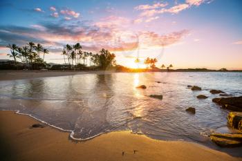 Amazing hawaiian beach. Wave in ocean at sunset or sunrise with surfer. Wave with warm sunset colors.