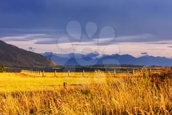 Beautiful rural  landscape of the New Zealand at sunrise