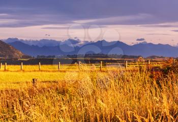 Beautiful rural  landscape of the New Zealand at sunrise