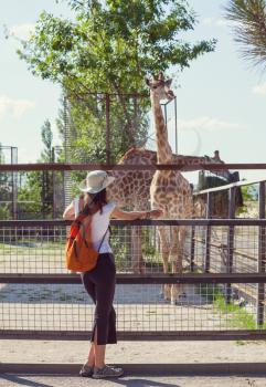 Young woman near giraffe in Zoo