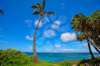 Beautiful summer landscapes  on the tropical beach