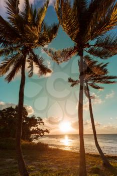 Beautiful summer landscapes  on the tropical beach