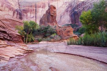 Hike in Coyote gulch, Grand Staircase-Escalante National Monument, Utah, United States