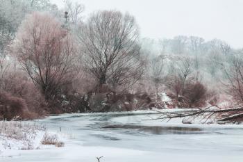 Winter scene. Trees in hoarfrost grow along the frozen river