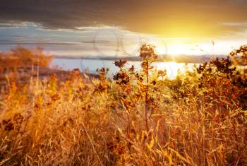 Colorful  autumn meadow in mountains. Natural background.