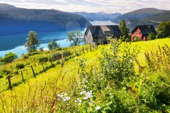 Norway landscapes