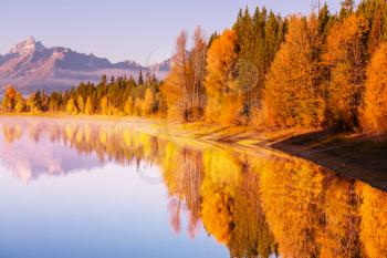  Autumn in Grand Teton with a Instagram toning effect