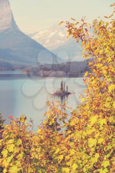 Autumn in Glacier NP,Montana,USA