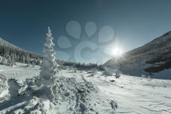 Winter on mountains resort