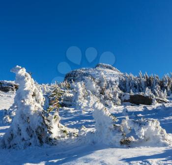 Winter in Glacier Park,Montana,USA