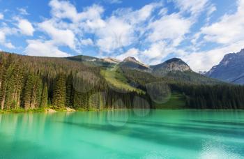 Serenity Emerald Lake in the Yoho National Park, Canada