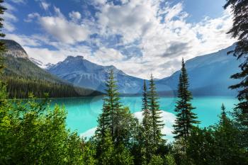 Serenity Emerald Lake in the Yoho National Park, Canada. Instagram filter