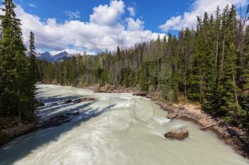 Scenic views of the Athabasca River ,Jasper National Park, Alberta, Canada