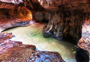 Narrows in Zion National Park, Utah