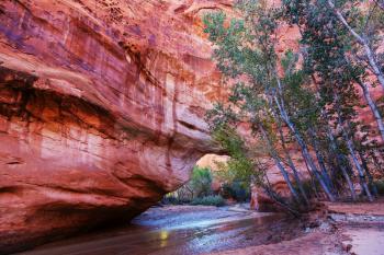 Hike in Coyote gulch, Grand Staircase-Escalante National Monument, Utah, United States