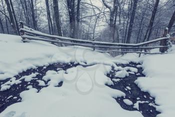 Scenic snow-covered forest in winter