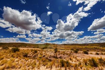 Prairie  landscapes